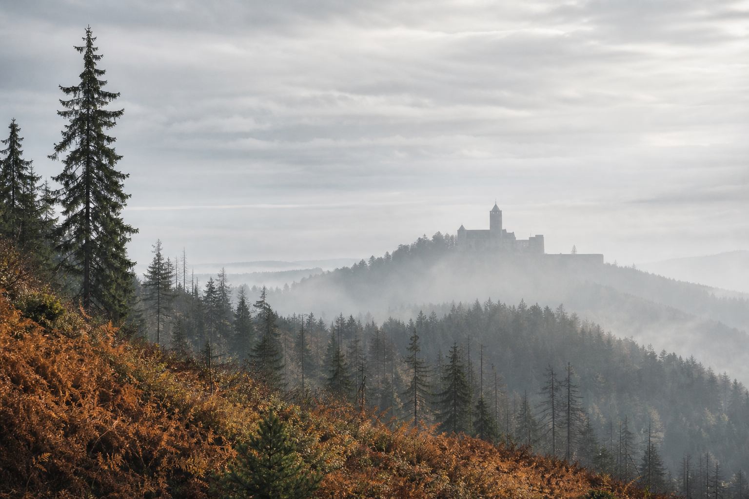 Harzer Waldkamm mit Festungssilhouette im Dunst